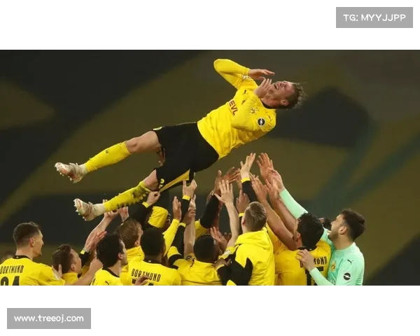 莱默尔回应外界质疑：黑马标签无关紧要，胜利才是唯一目标