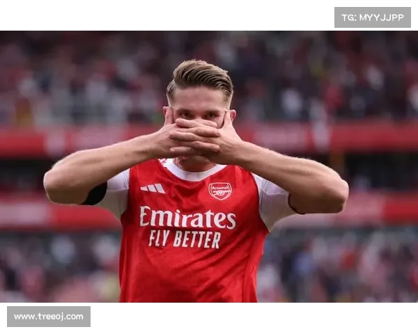 阿森纳进攻火力爆发,连连破门得分 阿森纳进攻火力爆发,连连破门得分