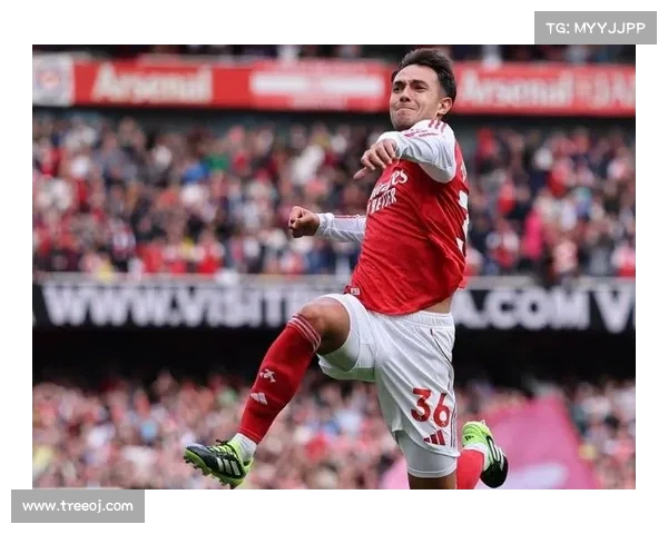 阿森纳持续领跑,胜利势头稳健 阿森纳持续领跑,胜利势头稳健