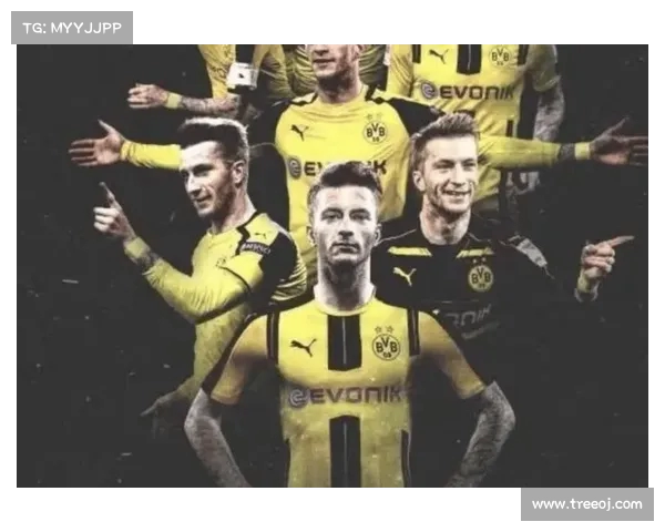 多特蒙德继续稳定表现,力求持续领先 多特蒙德继续稳定表现,力求持续领先